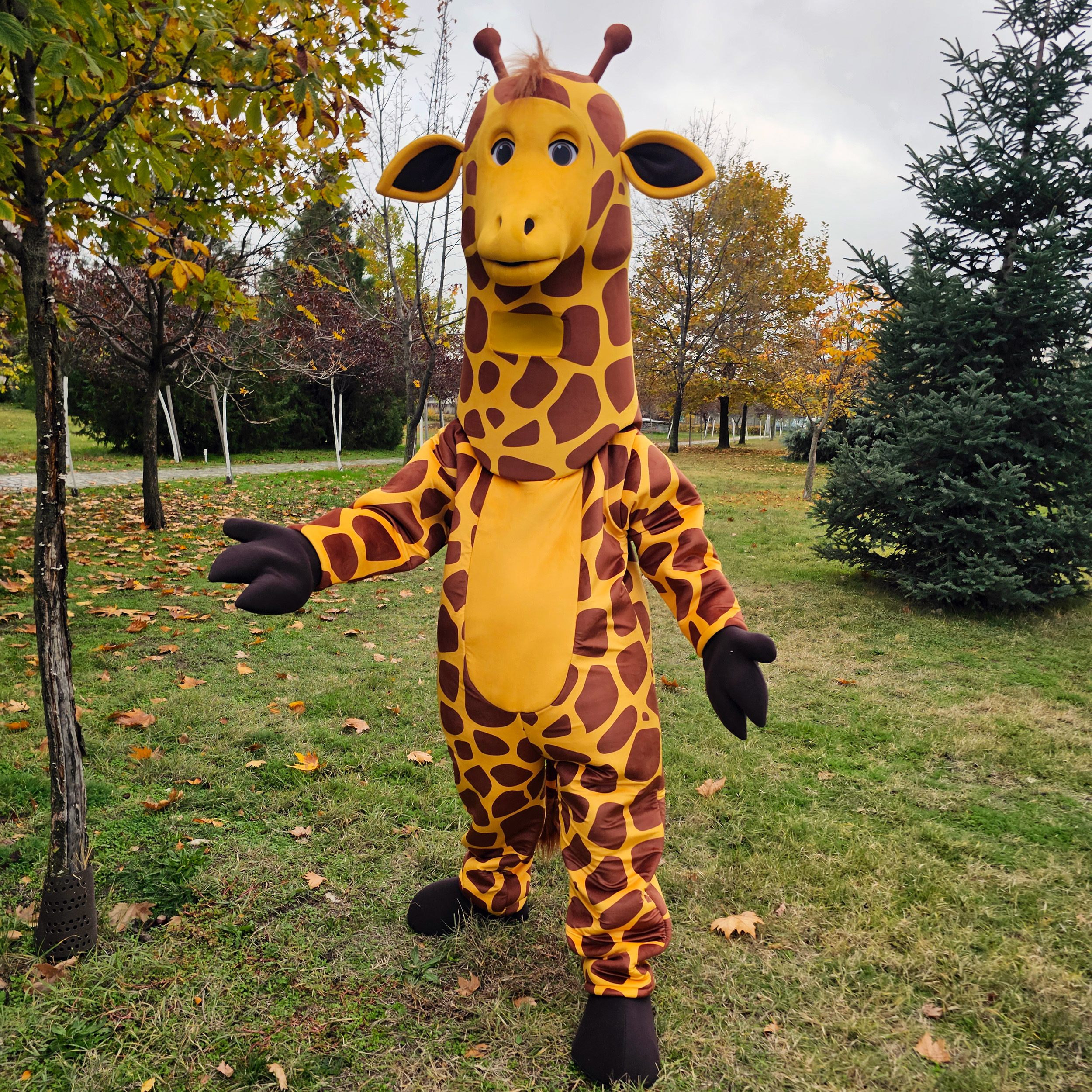Mascot costumes